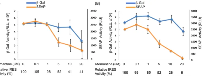 Fig 3.  Effect of various concentration of memantine on mouse N2A neuroblastoma cells