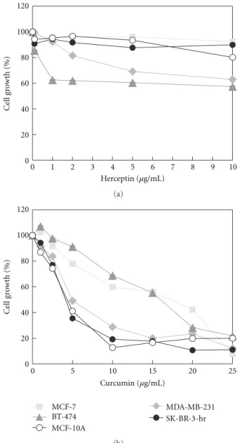 Figure 2: The eﬀect of herceptin and curcumin on growth of diﬀerent breast cancer cell lines