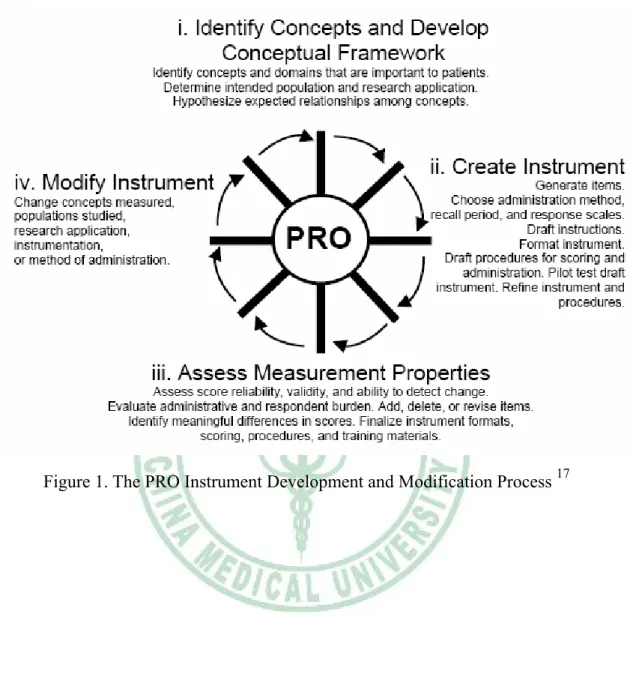 Figure 1. The PRO Instrument Development and Modification Process  17
