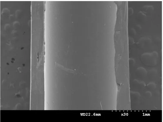 圖 4.7  明膠管內管壁 SEM 圖 