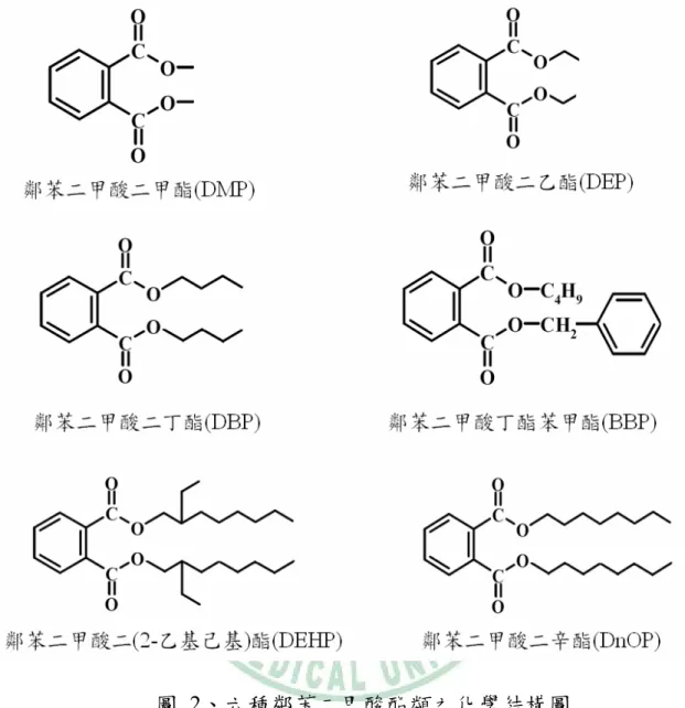 圖  2、六種鄰苯二甲酸酯類之化學結構圖 