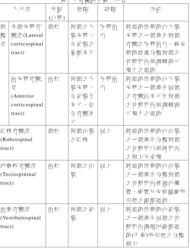 表 三 ： 脊 髓 的 主 要 下 行 徑   下 行 徑   位 置   (白 質 )  起 點   終 點   功 能   外 側 皮 質 脊 髓 徑 (Lateral  corticospinal  tract)  側 柱   對 側 之 大腦 皮 質 ，在 延 腦 之基 部 交 叉 灰 質 前角   將 運 動 性 衝 動 由 大 腦皮 質 之 ㄧ 側 傳 至 對 側 脊 髓 之 灰 質 前 角 ， 最 後衝 動 抵 達 身 體 對 側 之 骨 骼 肌 而 協 調 精 確 又 獨 立 之 運 動  
