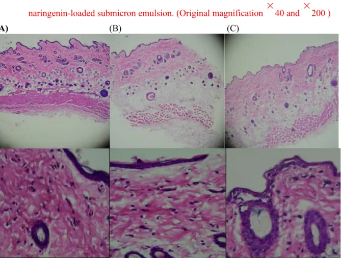 Fig. 2. Microscopic photos of rat skin after application of water (A), formalin (B), and tested naringenin-loaded submicron emulsion