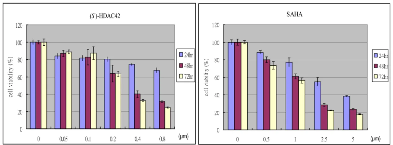 Figure 8. Antiproliferative effect of (S)-HDAC-42 in multiple myeloma cell lines.   