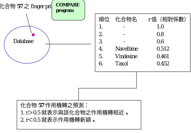 Fig. 25.  與化合物 57 finger print 類似之化合物及相對係數 