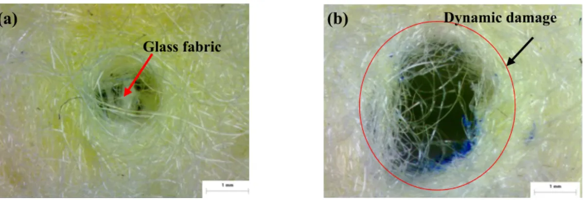 Figure 7. The fracture surfaces of composites where 30 wt% low-melting PET contains after (a) static and (b) dynamic puncture testing