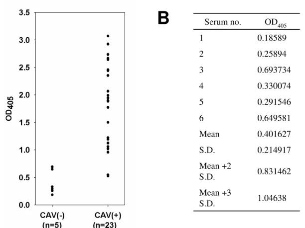 Figure 6. (A) Reactivity of chicken serum with recombinant VP3 protein determined by ELISA