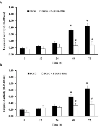 Figure 5. EGCG decreases the level of mitochondrial membrane potential  (Δ Ψ m) and alters apoptosis-associated protein levels in TSGH-8301 cells
