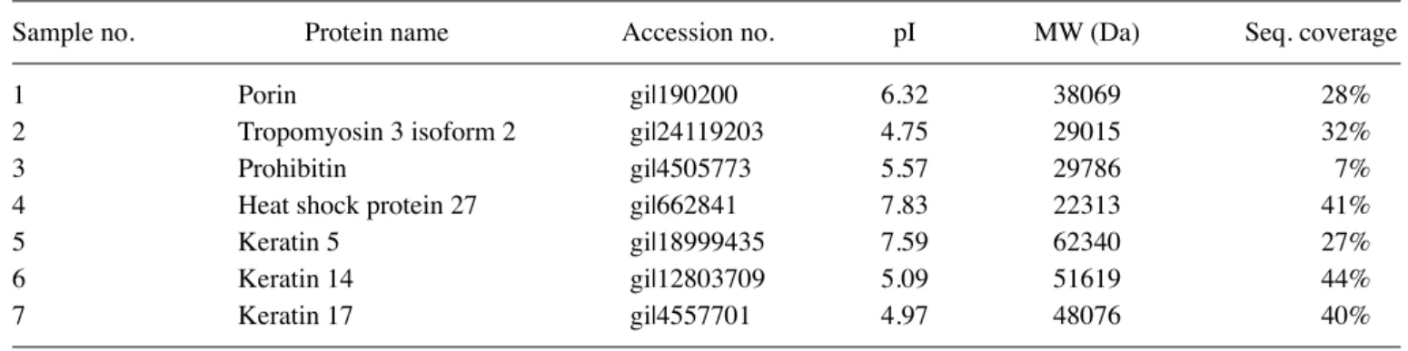 Figure 6. Overview of the 2-D gel images from extracts of TSGH-8301 cells. 