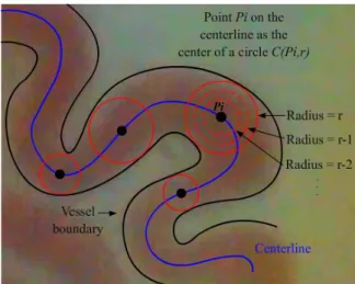 Fig. 6. Circular expansion is employed to identify the radius of a vessel cross-section.