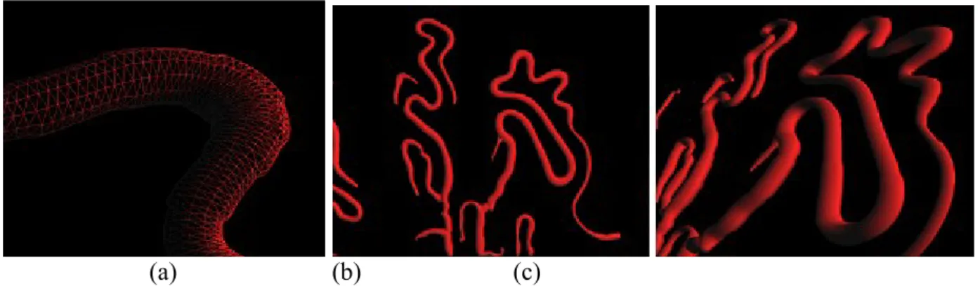 Fig. 7. (a) The corresponding pseudo three-dimensional microvascular surface meshes and its (b)  front and (c) perspective views.
