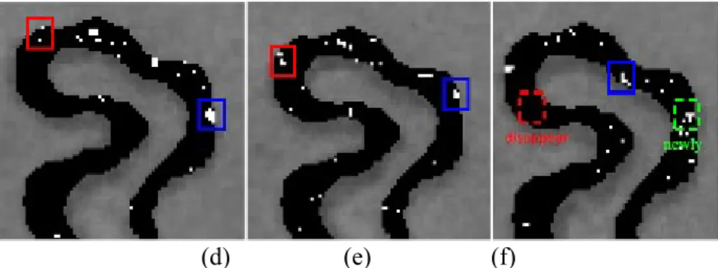 Fig. 11. (a) and (b) Contrast stretching of vascular areas in two successive frames. (c) The white dots  correspond to identified moving particles