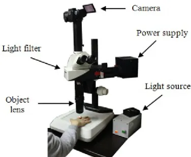 Fig. 1. Leica MicroFluo TM  microscope.