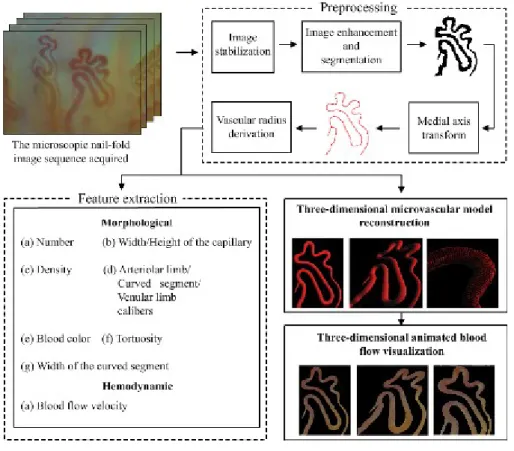 Fig. 3. Processing flow diagram of PTVNMHA