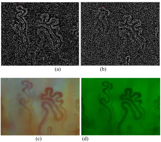 Fig. 4. (a) and (b) LoG (  =1.4) results of the two successive frames shown in Figs. 2(a) and 2(b),  respectively