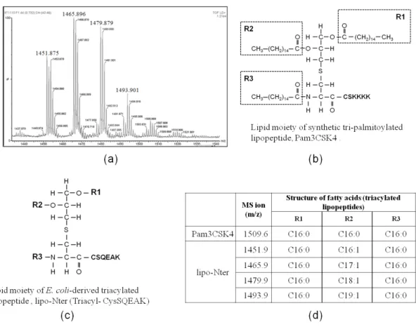 FIGURE 1: The lipid structures of Pam3CSK4 and Triacyl-CysSQEAK (lipo-Nter).
