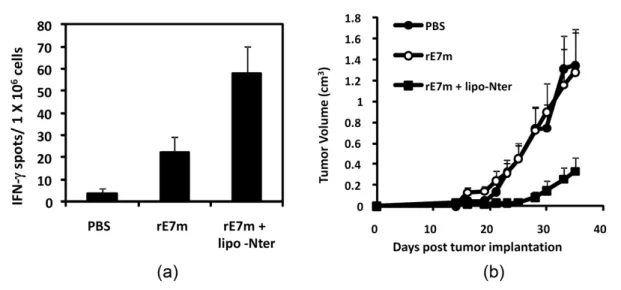 FIGURE  4:  CD8+ T cell response and anti-tumor effect elicited by lipo-Nter in a protein vaccine