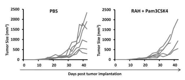 FIGURE  6:  Anti-tumor effects of Pam3CSK4. TC-1 tumor-bearing mice (5 or 6 animals/group)  received  a  single  injection  of  PBS  or 10  μg  of RAH  mixed  with Pam3CSK4 (10 μg/100 μl)