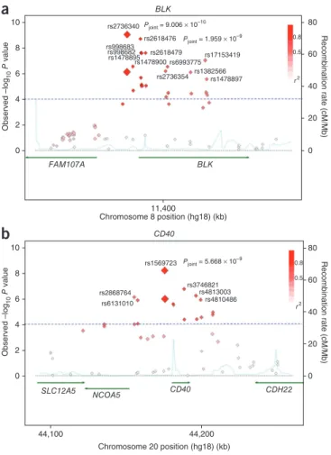 Figure 2  Association plots for the BLK and CD40 regions. (a,b) Regional  association plot, recombination rate and LD for the BLK region on  chromosome 8 (a) and the CD40 region on chromosome 20 (b), with  gene annotations superimposed
