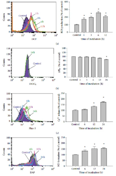 Figure 3: Bufalin influences the levels of reactive oxygen species (ROS), 