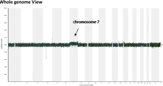 Fig. 2. Oligonucleotide-based array comparative genomic hybridization (aCGH) analysis using CytoChip Oligo array on uncultured amniocytes shows a genomic gain in chromosome 7.