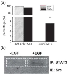 Fig. 5 The comparison of Src/STAT3 interaction detection results. (a) Ratio bar chart for Src or STAT3 and the Src/STAT3 complex before and after EGF stimulation