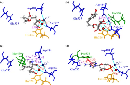 Figure 2. Docking poses of (a) mumefural (b) 2-O-feruloyl tartaric acid (c), kainic acid and (d) cAMP in the PDE4D cAMP binding site.