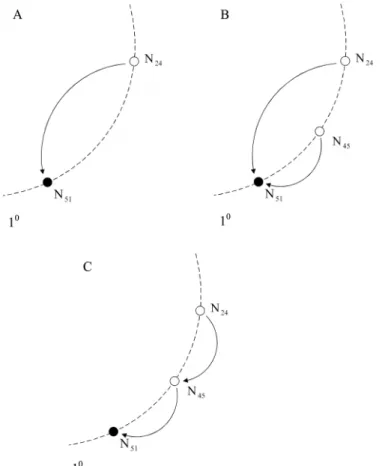 Fig. 13 Node join: (A) Before N 45  joins 1 0  (B) After N 45 .init(1 0 ) (C) After N 24 .stabilize() G