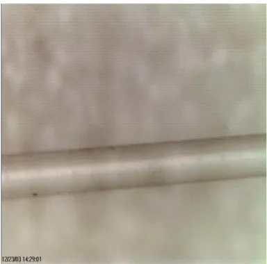 Figure 5.3. The nonflat of the D-Shaped optical fiber with stripping off its  plastic coating 