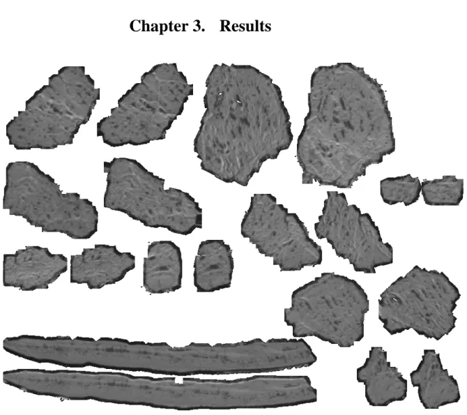 Figure 11.  A few examples of calculating the rotation and translation of ice floes to get the best  matches
