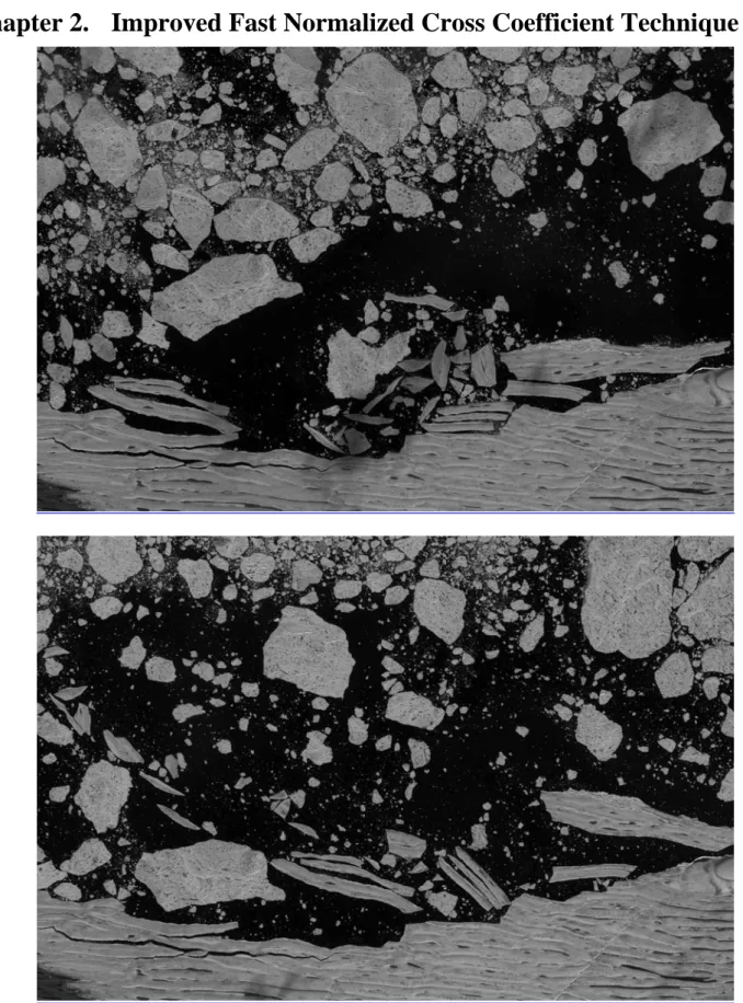 Figure 1.  Formosat-2 image of Ward Hunt Ice Shelf taken on (a) 27 July 2008 and (b) 28 July  2008