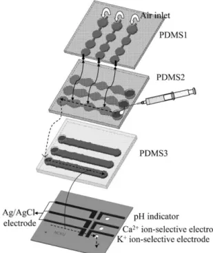 Fig. 1 shows a schematic layout of the multiple ion analysis microfluidic device. The microfluidic device was constructed