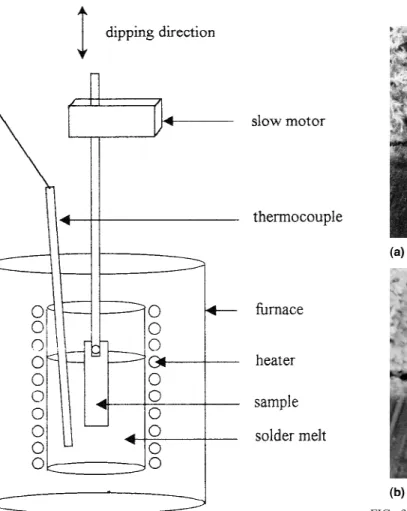 FIG. 3. SEM micrographs of cross-sectional samples that (a) as- as-dipped and (b) heated at 423 K for 1000 h.