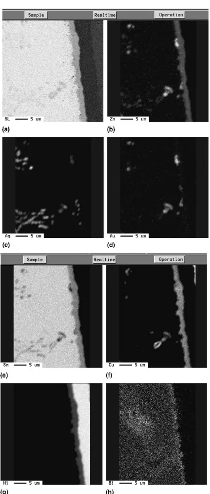 FIG. 5. The elemental analysis at the interfacial area of the specimen soldered at 210 °C after 10 reflow cycles (a) backscattered electron image, (b) Zn, (c) Ag, (d) Au, (e) Sn, (f) Cu, (g) Ni, and (h) Bi.