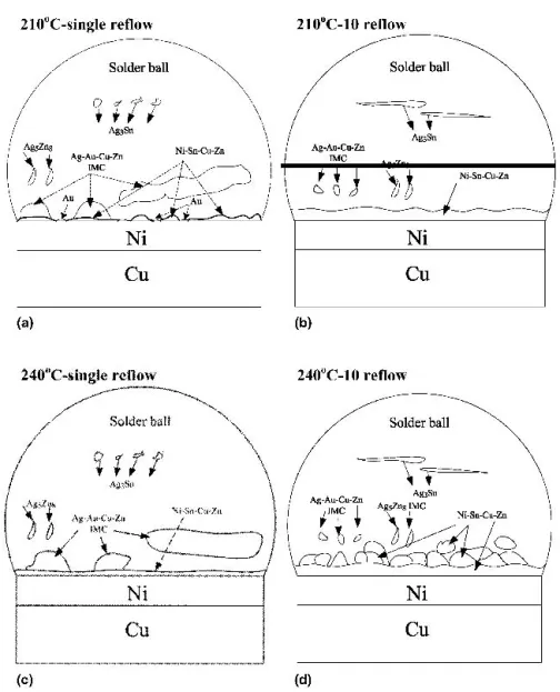FIG. 10. The sketches of the IMCs formed at different soldering temperature for (a) 210 °C-single reflow, (b) 210 °C-10 reflows, (c) 240 °C-single reflow, and (d) 240 °C-10 reflows.