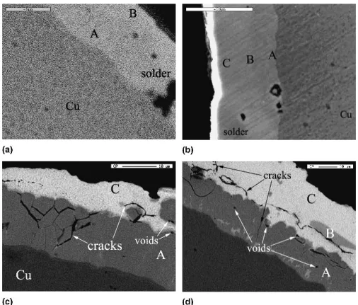 Figure 1 shows the interfacial microstructures formed between Sn–9Zn solder and Cu substrate after aging at 150 °C for 100, 300, and 1000 h