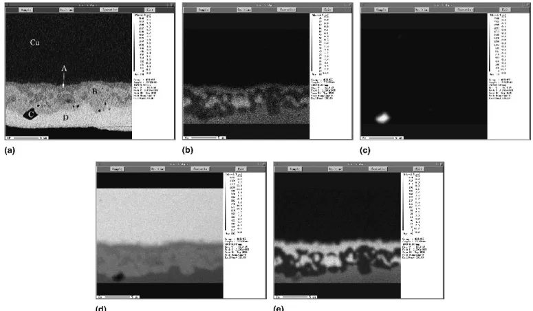 FIG. 3. Microstructure and EPMA analysis of Sn–8.55Zn–1Ag–0.01Al solder after aging at 150 °C for 1000 h