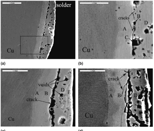 FIG. 5. Cross-sectional microstructure of the Sn–8.55Zn–1Ag–0.25Al/Cu specimen after aging at 150 °C for (a) 300 h, (b) enlargement of inset of (a), (c) 600 h (SEM), and (d) 1000 h (SEM).