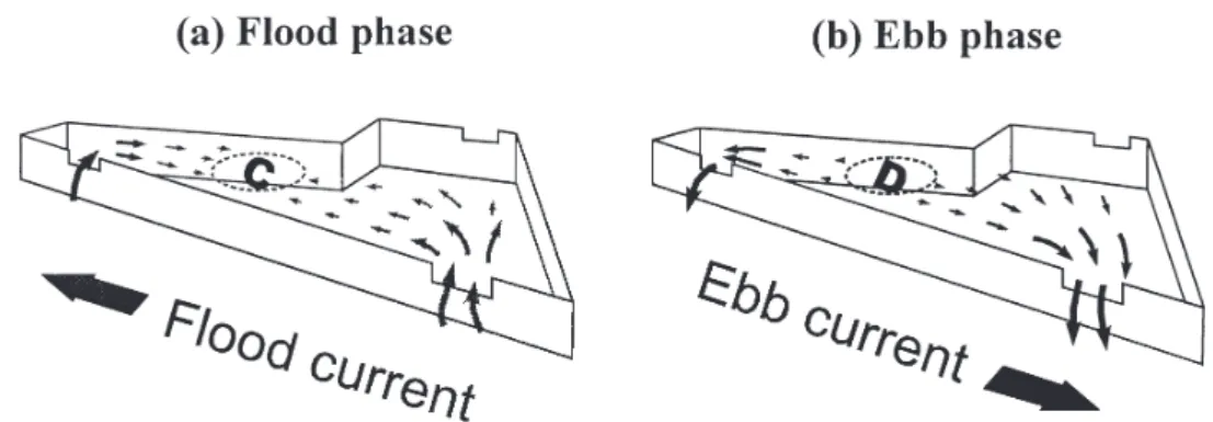 Fig. 9. A schematic showing lagoon circulations at (a) flood and (b) ebb stages.