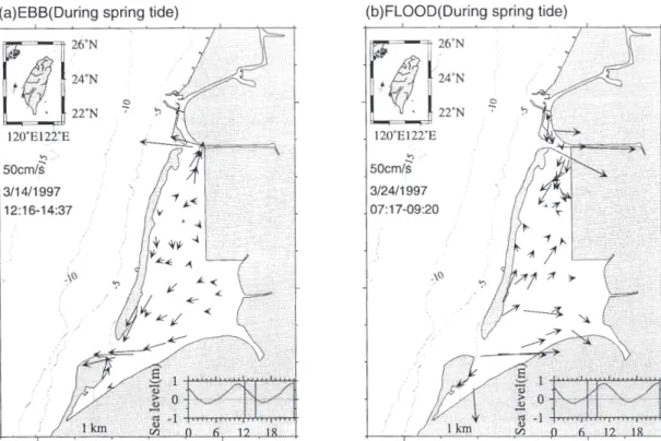 Fig. 3. Observed surface current vectors at (a) ebb and (b) flood stages during spring tide