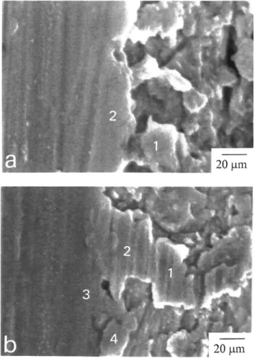 Table I. Chemical composition of the IMC layers formed at the Sn-9Zn-0.5AgÕCu interface after aging at 150°C for 750 h.