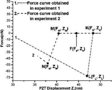 FIG. 2. Schematic diagram of the interaction forces formed under the con- con-ditions of experiments 1 and 2.