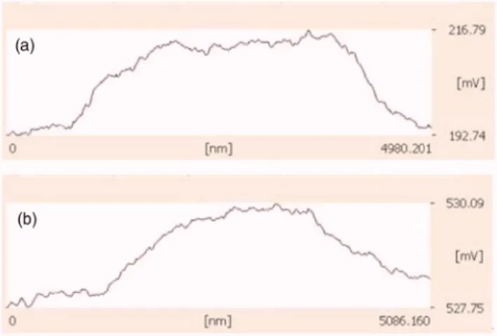 TABLE I. Theoretical results for the geometric dimensions of the water bridges formed by two radii of probe tips.