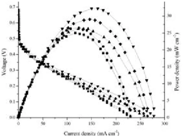 Figure 3 The performance with polarisation (a) and power  density (b).