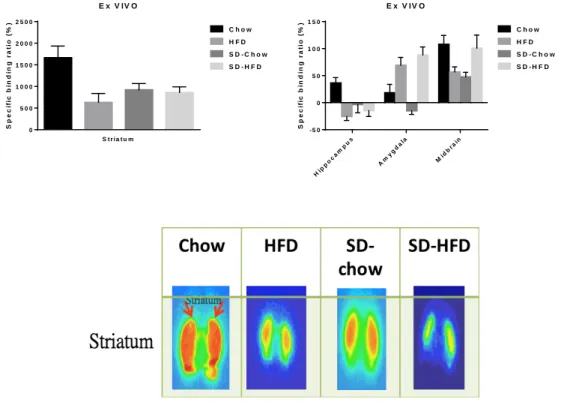 Figure 8. Ex vivo autoradiography in brain from mice administered the I- 123  Epidepride, a radio-ligand  with high affinity for D2 receptors
