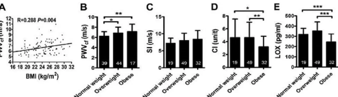 Figure 1. Structural proteins in ob/ob aorta and pro-oxidative perivascular adipose tissue (PVAT) in ob/ob mice.