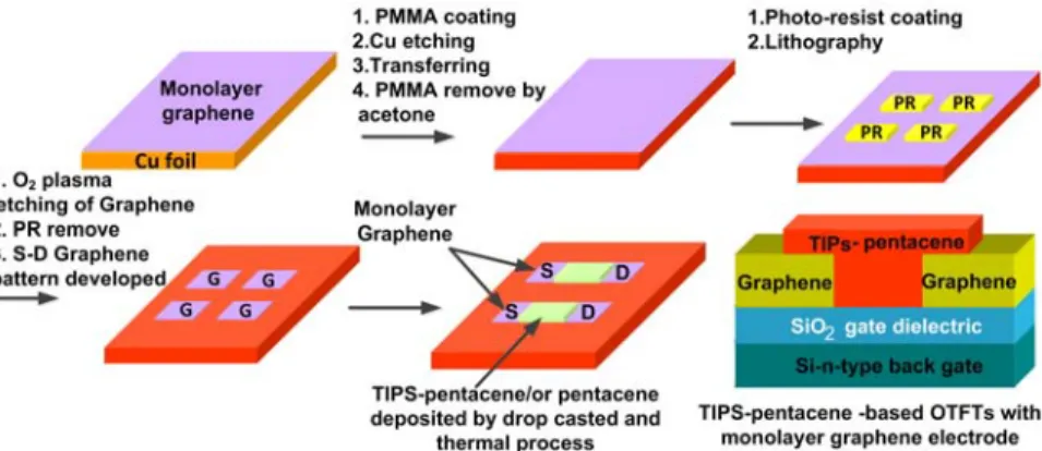 Figure 3. (a) Complete schematic of the fabrication steps of bottom-gate, bottom-contact TIPS-pentacene OTFTs with  monolayer graphene S-D electrodes on an SiO 2  (300 nm)/Si substrate