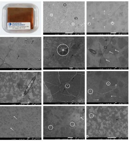 Figure 4. Typical SEM images of graphene film on SiO 2 /Si substrate transferred by conventional PMMA-assisted method