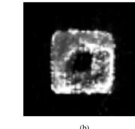 Fig. 6. 3D TPP microstructure imaged by (a) 3D TPL (Insert: 2D bright-field  image) and (b) 2D TPL image of  the microstructure in (a) at the base