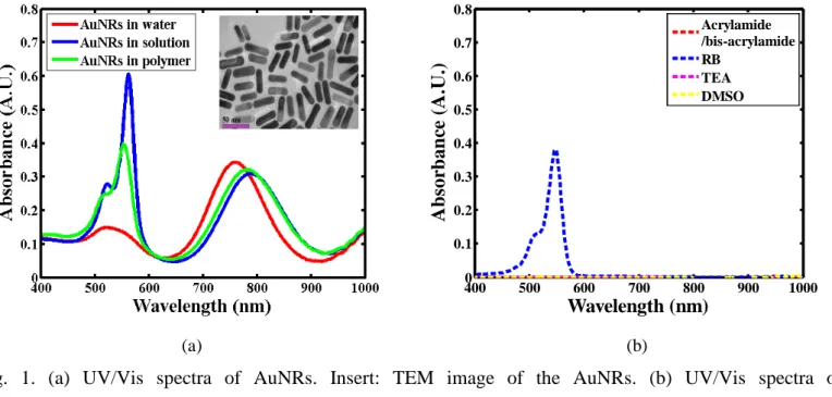 Fig. 1. (a) UV/Vis spectra of AuNRs. Insert: TEM image of the AuNRs. (b) UV/Vis spectra of  acrylamide/bis-acrylamide, aqueous RB, pure TEA, and DMSO